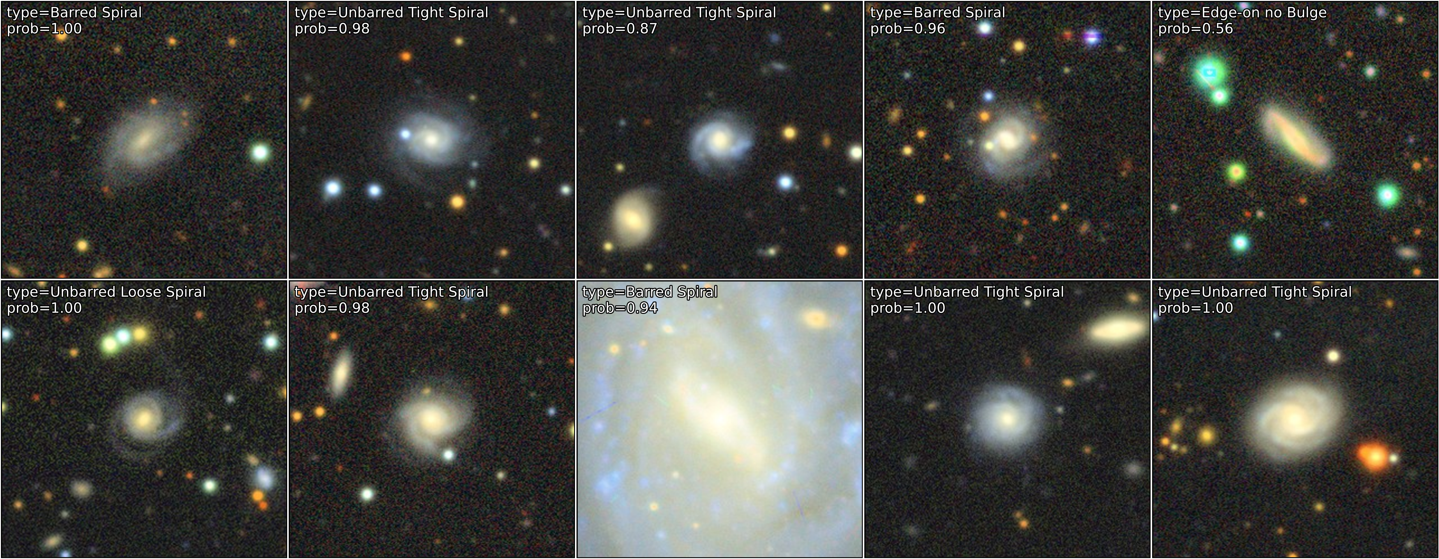 Galamo Morphology Classifications Matrix